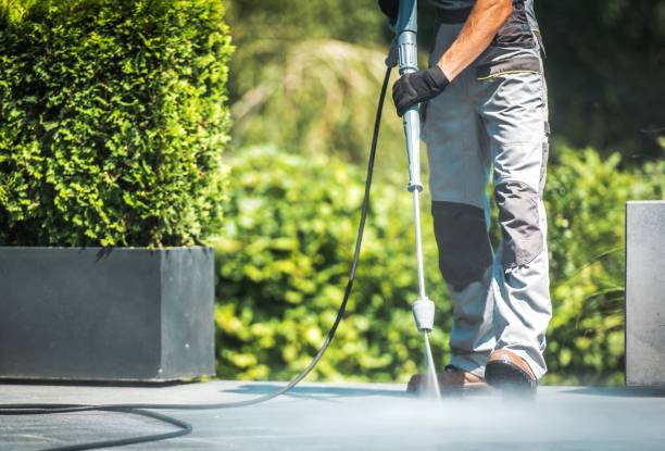 Best Paint Preparation  in Danvle, IL