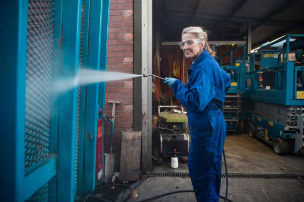Best Pre-Holiday Cleaning  in Danvle, IL