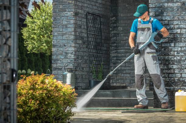 Best Dumpster Area Cleaning  in Danvle, IL